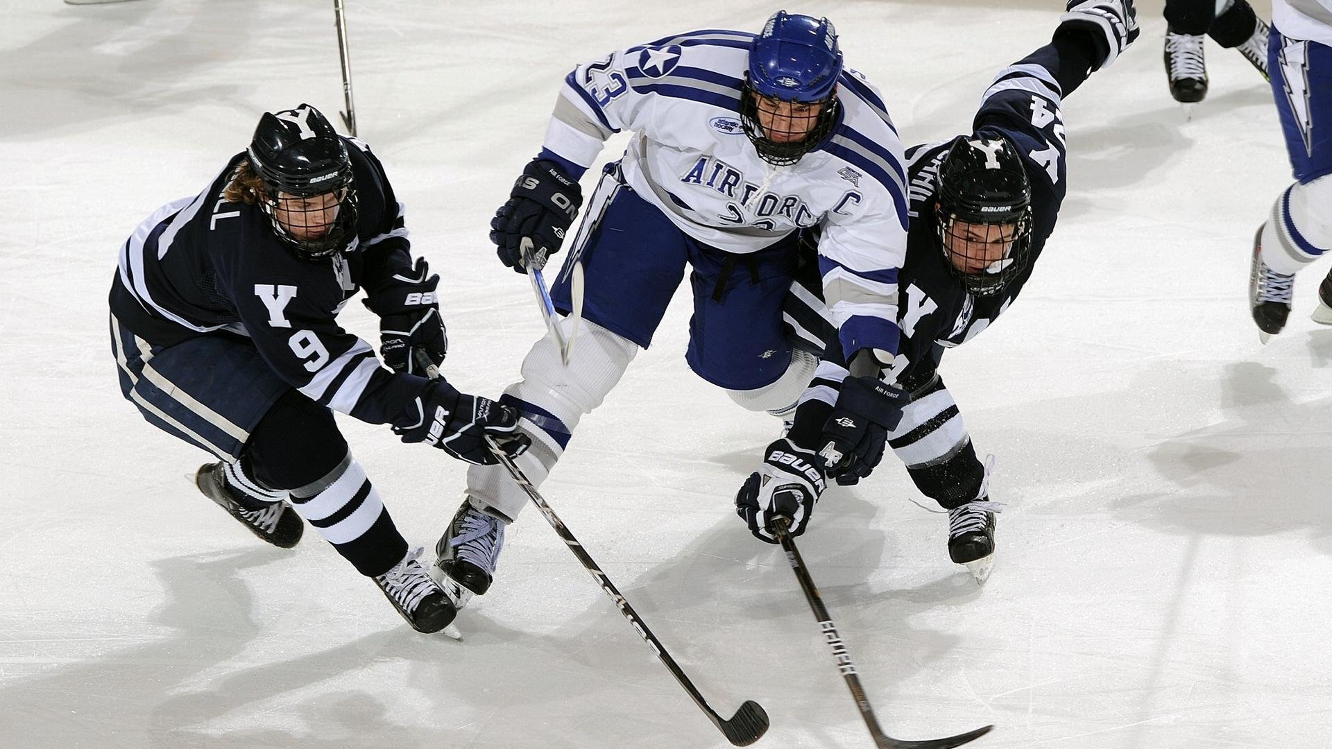 爱尔兰橄榄球赛事收视率创新高，爱尔兰橄榄球队